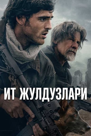 Ит жұлдыздары